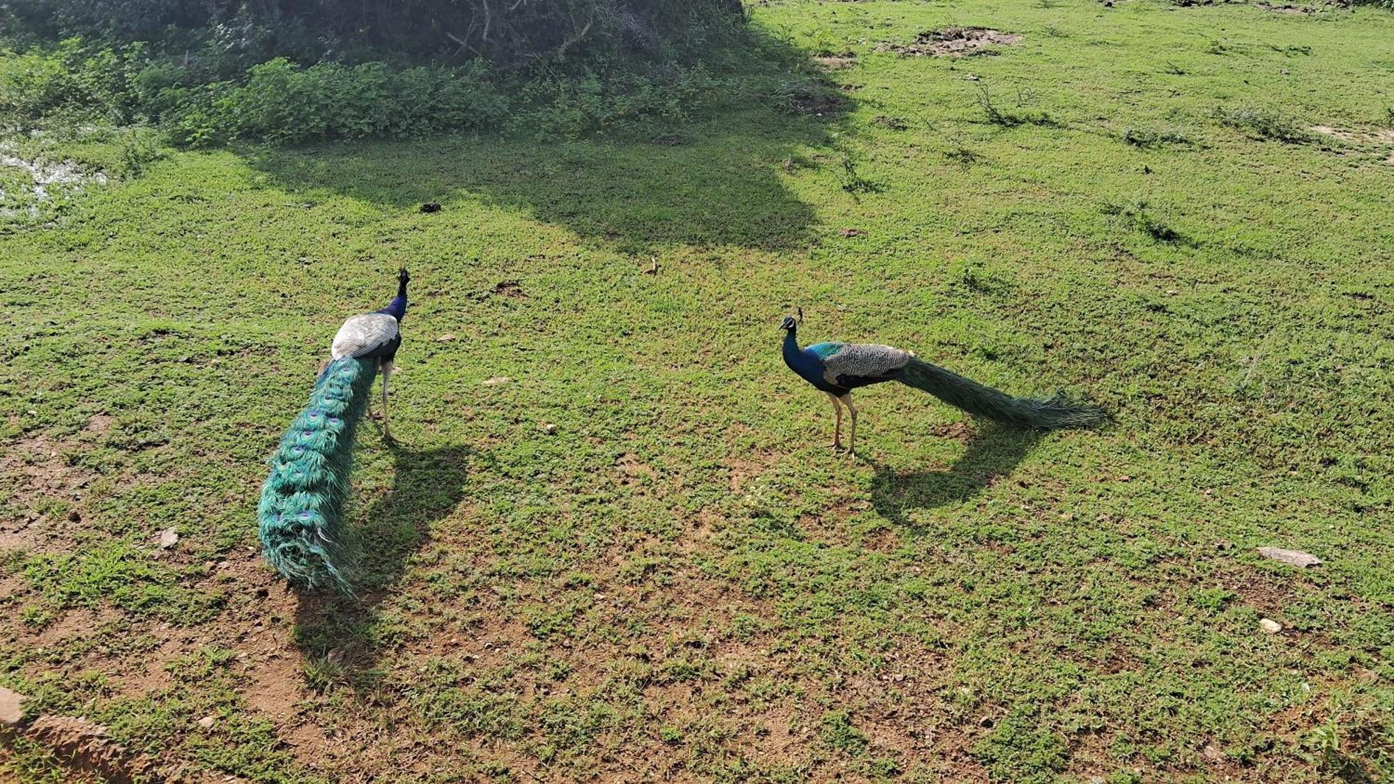 Rko Villa27 Habaraduwa Bagian luar foto